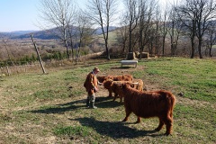 Całoroczne Domki u Gosztyły przy Bieszczadach